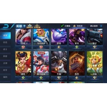 限定皮肤，四赛季王者